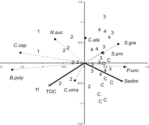 Fig. 6. Redundancy analysis on sampling units, species and environmental variables in the intertidal mussel beds exposed to sewage discharge from the city of Mar del Plata (Sedim, sediment accumulated among mussels; TOC, total organic Carbon; C