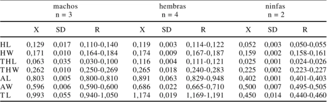 Tabla I. Dimensiones corporales de los adultos y ninfa I de Hoplopleura massoiai sp. nov., expresadas en milímetros