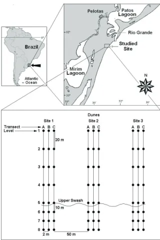 Fig. 1. Location of study area and sampling design from which the Ω