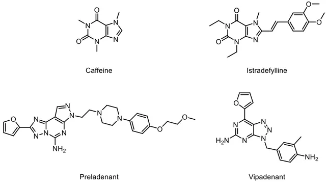 Figure 10 – Structure of A 2A  AR antagonists. 