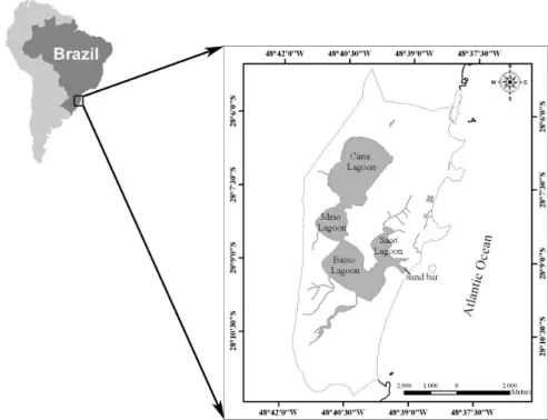 Figure 1. The location of Ibiraquera Lagoon on the Brazilian coast, showing the four subsystems.