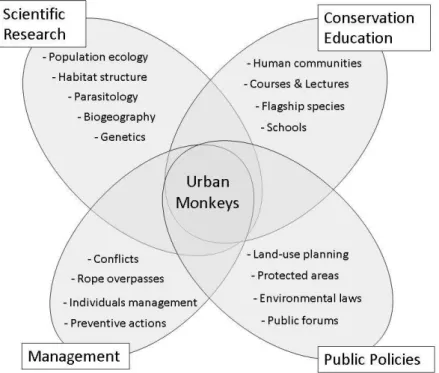 Figure 1. The working structure of the Programa Macacos Urbanos (Urban Monkeys Program), interconnecting scientific research, conservation education, management, and public policy in a transdisciplinary conservationist approach.