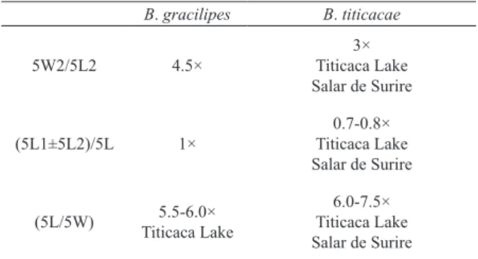Tab. II. Results of morphometric criteria observed for discriminate  Boeckella gracilipes (Daday, 1902) and Boeckella titicacae Harding,  1955, according to descriptions of B ayly  (1992a,b) (5L,  fi  fth  thora-copod right segment length; 5L1, fifth thora