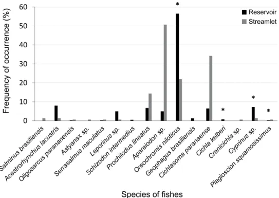 Fig. 3. Frequency of occurrence of fish species consumed by the otters in the reservoir Canoas I, states of São Paulo and Paraná (black bars) and  in the Sapé streamlet, state of São Paulo (grey bars) (*, exotic species).