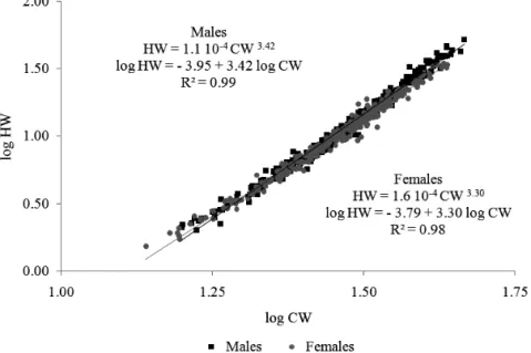 Fig. 1. Regression lines to the carapace width vs. humid weight relationship in male and female of Goniopsis cruentata (Latreille, 1803) crabs,  with the potency equation and the determination coefficient r².