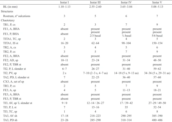 Tab. II. Summary of characters differentiating the nymphal instars I and III–V of Sigara (Tropocorixa) denseconscripta (Breddin, 1897) (A,  anterior; AD, anterodorsal; AV, anteroventral; BL, body length; CX3, metacoxa; FE1, profemur; FE2, mesofemur; FE3, m