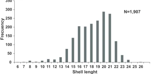 Fig. 3. Frequency histogram for the shell lengths of Corbicula largillierti (Philippi, 1844) collected throughout the study period at Eliseo Cantón  Bridge (Córdoba city), Argentina