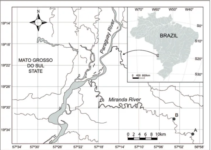 Fig. 1. Study area in the Pantanal of Mato Grosso do Sul State, Brazil. A and B indicate the sampling sites in lagoons associated with the Miranda River.