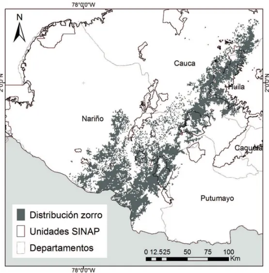Fig. 9. Cambios del área de distribución del zorro andino en Colombia. La  pérdida de área de distribución potencial (DP) fue calculada de la siguiente  forma: (DP-AD).
