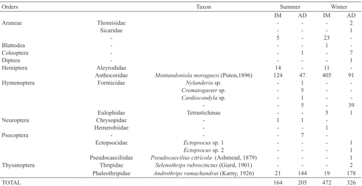 Tab. II. Taxonomic classification of the fauna associated with galls of Ficus benjamina L., 1753 induced by Gynaikothrips uzeli Zimmermann, 1900  during collections in summer and winter times, indicating the numbers of immature (IM) and adult individuals (