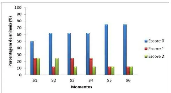 Figura  26.  Porcentagem  de  cadelas  (n=8)  submetidas  à  ovariohisterectomia  eletiva e à anestesia epidural com bupivacaína na dose de 1 mg/kg  (G1)  enquadradas  nos  escores  0  (ausente),  1  (diminuído)  e  2  (presente) para resposta ao estímulo 