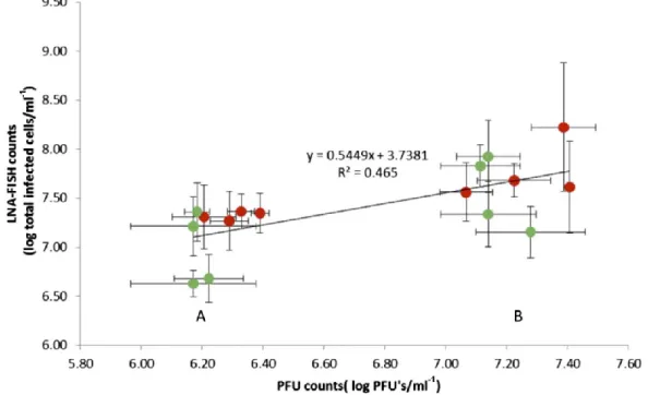 Figure  4.  linear  regression  between  lnA-fiSH  counts  and  Pfu  counts  for  Acinetobacter  and  P