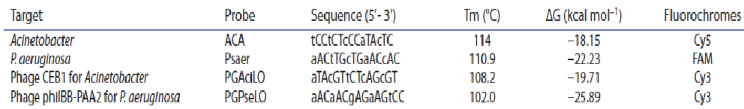 Table 1. Properties of the lnA/2′-o-methyl probes used for bacteria and phage detection