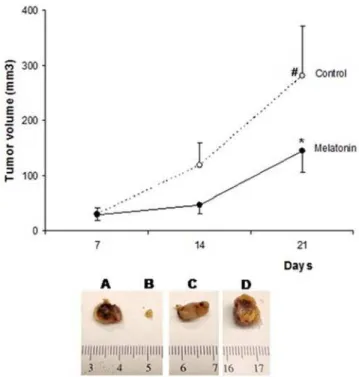 Figure 2. Antitumor effects of melatonin on mammary tumor growth. Melatonin reduced the tumor growth in breast cancer nude mice