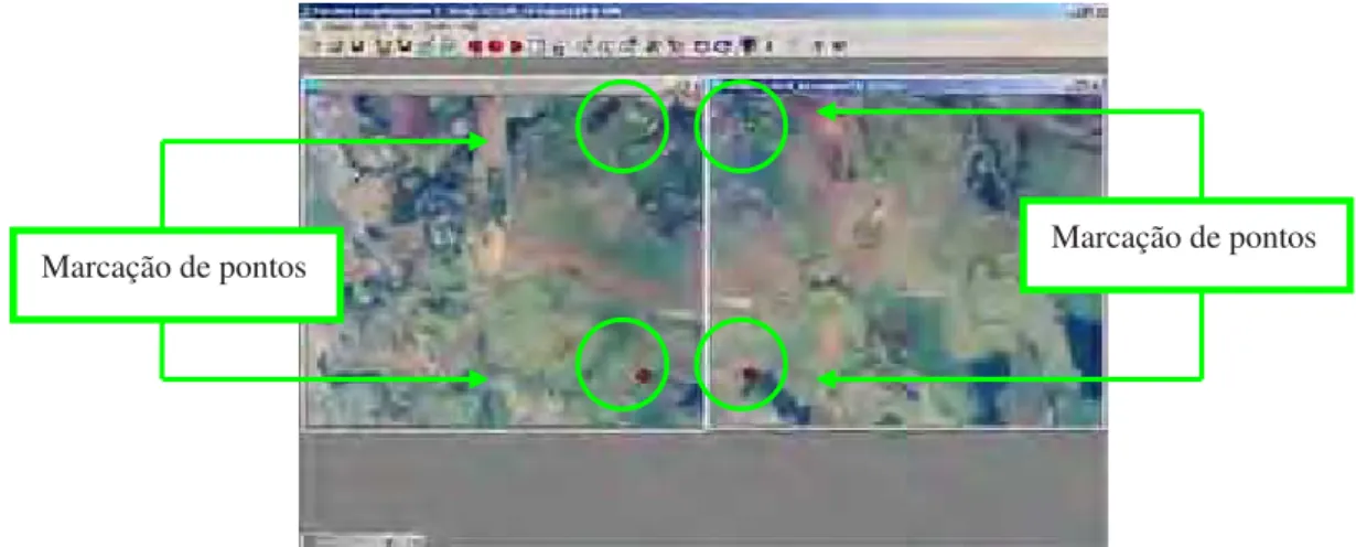 Figura 18 – Fotos recortadas com os dois pontos de marcação para realizar mosaicagem.