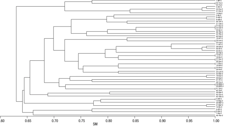 Figure 2. Dendrogram of 56 Portuguese grapevine accessions studied obtained using UPGMA cluster analysis of RAPD marker  data