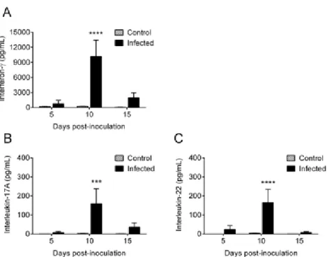 Figure 3.  Kinetics of splenocytes’ ex vivo release of Th1 and Th17 effector cytokines: mice were 395 