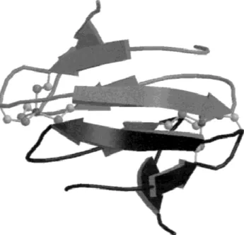 Fig. 1. Ribbon diagram of the Dx calculated with program MOLSCRIPT