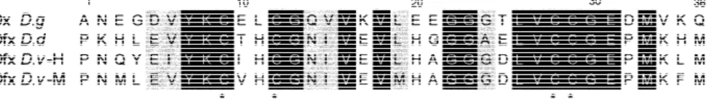 Fig. 3. Stereoscopic Ca superposition of D. gigas Rd ~dark gray! with one Dx monomer ~light gray!, showing a conserved region for segments 4–18 ~“rubredoxin knuckle”! and 33–36 ~Dx numbering!.