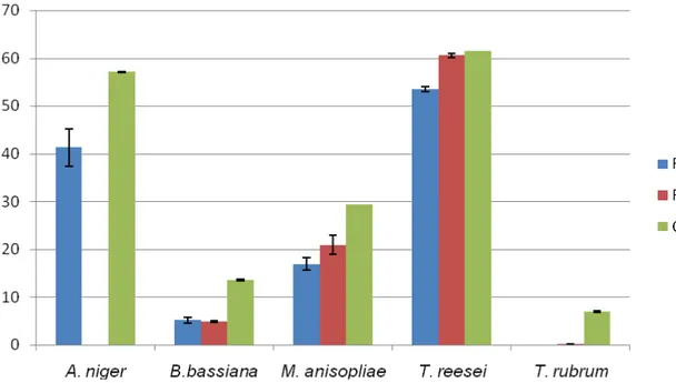 Figura 6: Diâmetro das colônias dos fungos frente a fração butanólica de P.  cauliflora nas concentrações testadas (1% e CIM) e do controle de  crescimento.