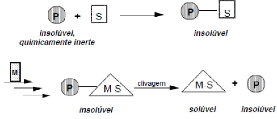 Figura  3:  Princípio  da  Síntese  Orgânica  em  Fase  Sólida.  P=  Polímero;  S=  Substrato;  M=  Modificações Químicas; M-S= Produto da Síntese