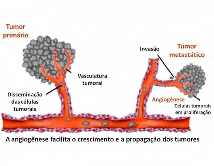 Figura 3. Angiogênese e a propagação de tumores (Fonte: PANDYA et al., 2006).  