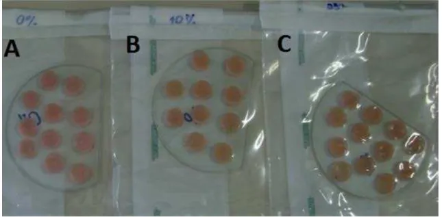 Figura  3  -  Espécimes armazenados  após  a  esterilização  (A  -  0%,  B  -  10%  e  C  -  25%  de  PTBAEMA incorporado ao RRCS) 