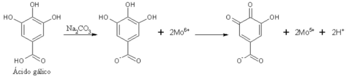 Figura  2.  Reação do ácido gálico com o molibdênio, componente do reagente  Folin-Ciocalteau (Adaptado de Oliveira et al