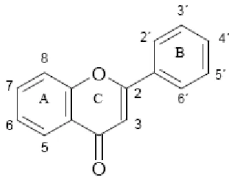 Figura 2 - Estrutura básica dos flavonóides. 