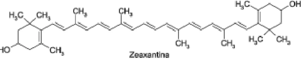 Figura 3-Exemplo de estrutura química de um caroteno (E-caroteno) e de  uma xantofila (zeaxantina)