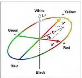 Figura 4: Parâmetros do sistema de cor CIELAB.  