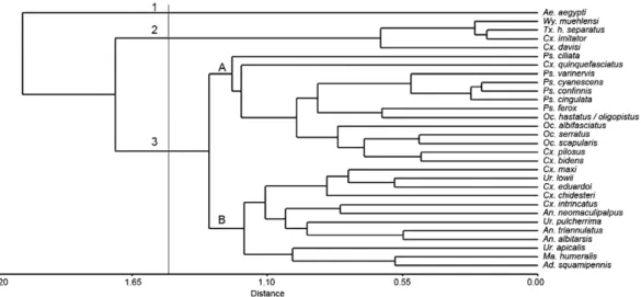 Fig. 1: phenogram of 30 operative taxonomic units (species) resulting from the cluster analysis