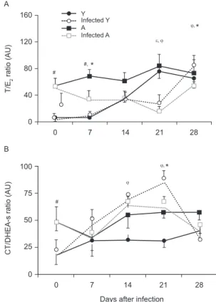 Fig. 3: serum levels of adrenal hormones throughout acute Trypano- Trypano-soma  cruzi