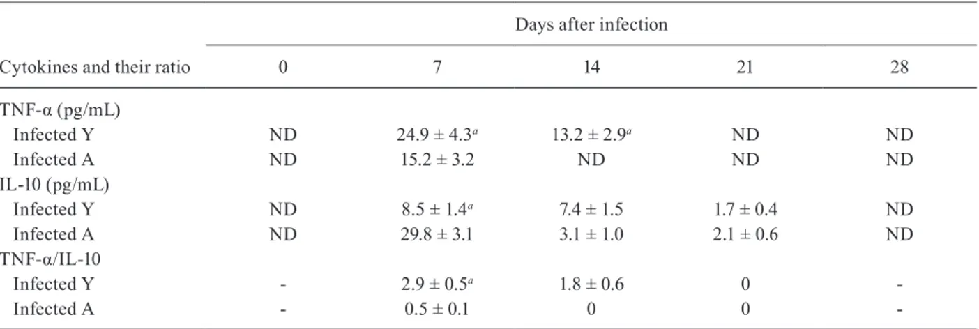 Table shows that TNF-α levels were higher in young  rats until the end of the second week pi, becoming  unde-tectable from that point onwards