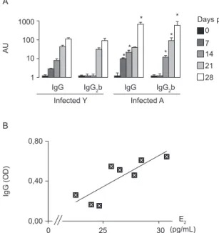 Fig. 5: antibody levels and correlations with hormones: A: total specific  IgG and IgG2b levels in infected young (Y) and adult (A) animals  ex-pressed as arbitrary units (AU); B: correlations between total specific  IgG and oestrogen (E 2 ) in infected A 