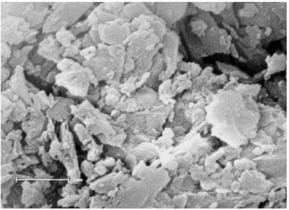 Figura  1:  Microscopia  eletrônica  de  varredura  da  clinoptilolita  natural  em  aumento  de  18kx,  com  escala de 1 µm, sendo possível observar a ausência de fibras