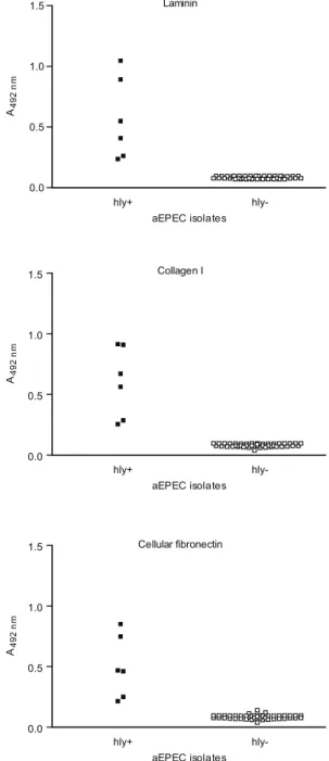 Fig.  2:  haemolytic  activity  on  blood  agar  plates  of  prototype  strain  C3888