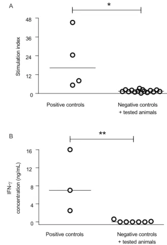 Fig. 2: lymphoproliferation and interferon-γ (IFN-γ) production by  peripheral blood mononuclear cells (PBMC) in response to  Leishma-nia lysate in LeishmaLeishma-nia infantum immunized dogs