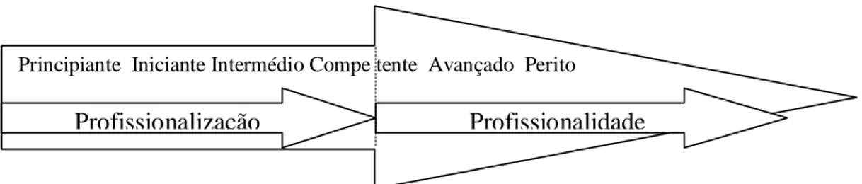 Figura 2- Etapas e níveis de desenvolvimento profissional (Fonte, Faucher &amp; Tardif, 2010)