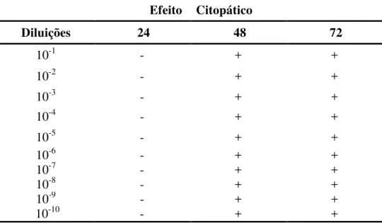 Tabela  3.  Distribuição  das  diferentes  diluições  de  vírus  BoHV-5  e  do    solvente  acetato  de  butila  em  relação  ao  efeito  citopático  nos  períodos de incubação 24, 48 e 72 horas
