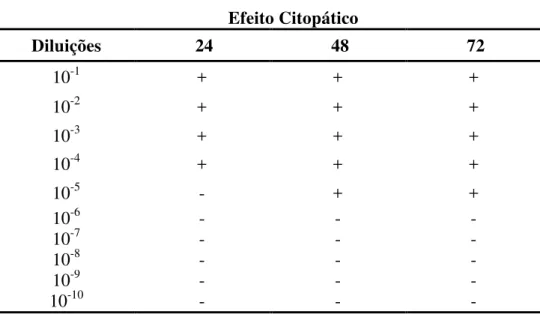 Tabela  5.  Distribuição  das  diluições  do  solvente  acetato  de  butila  em  relação ao efeito citopático nos períodos de incubação 24, 48 e  72 horas