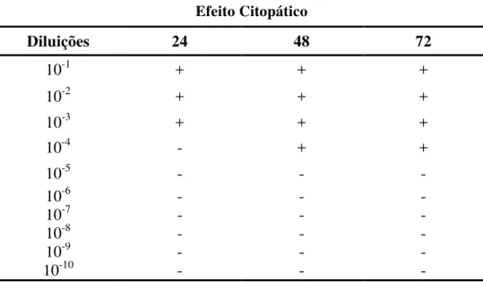 Tabela  7.    Distribuição  das  diluições  sequenciais  do  vírus  BoHV-5  e  o   solvente  acetato de butila em relação ao efeito citopático nos  períodos de incubação 24, 48 e 72 horas