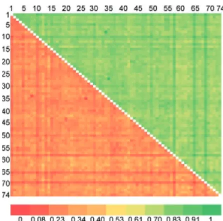 Fig. 2: randomly amplified polymorphic DNA profile of Wuchereria  bancrofti  microfilariae  populations  collected  from  carriers  residing  in district of Thiruvannamalai, state of Tamil Nadu, where mass drug  administration  with  diethylcarbamazine  al