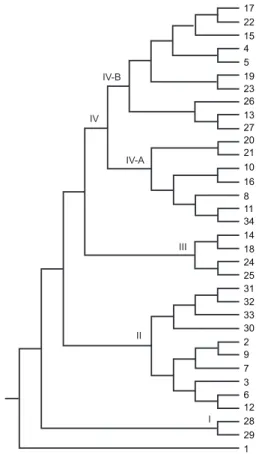 Fig.  8:  dendrogram  constructed  based  on  Nei’s  genetic  distance  (un- (un-weighted pair group method with arithmetic means method) for the 34  parasite populations of Wuchereria bancrofti from different locations  of  state  of  Orissa,  where  sele
