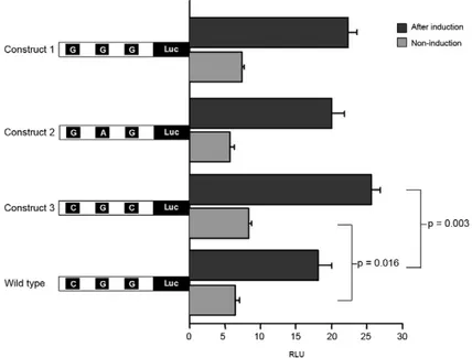 Fig. 2: comparison of the activity of the three different signal transducer and activator of transcription 6 promoter variants analyzed by lu- lu-ciferase activities