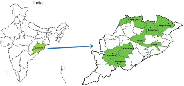 Fig. 1: map of India indicating Odisha and location of the eight places from where samples of Plasmodium falciparum isolates have been collected