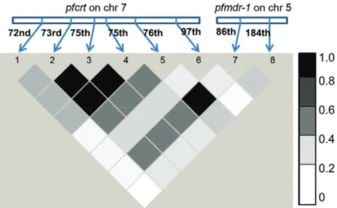 Fig. 3: linkage disequilibrium (LD) plot (r 2 ) between 28 possible pairs  of  single  nucleotide  polymorphisms  (SNPs)  in  Plasmodium   falci-parum  chloroquine-resistance  transporter  ( pfcrt)  and  P