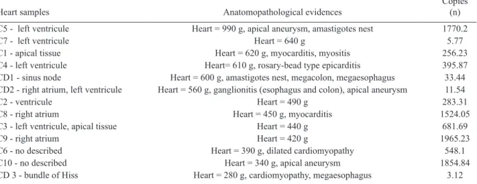 Fig.  3:  statistical  analysis.  Comparison  between  heart  weight  and  number of copies found by real-time polymerase chain reaction
