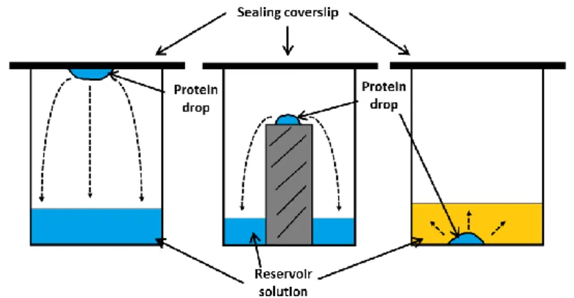 Figure 1.5: Representations of the principle vapor diffusion method techniques: 