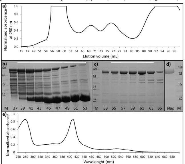 Figure 3.1: Characterization of the NapAB purification.   